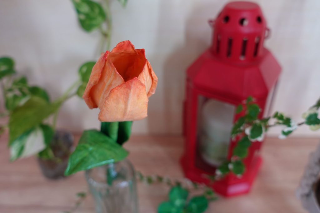 オリオンのInstagram企画 ”ミスティックペーパーチャレンジ（2024年）” 社員の応募作品です。