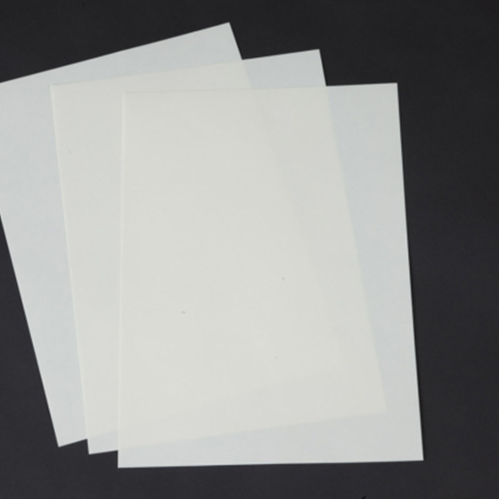 AF Protect（AF プロテクト）