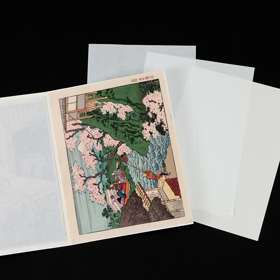 保存額装 Pure Guard (ピュア ガード)